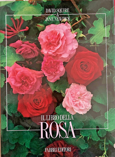 Libro della rosa - libro,