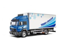 Kit modellino plastica camion