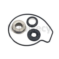 Water Pump Seals Set For