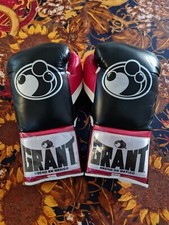 Guanti da boxe professionali