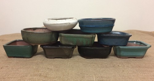 Vasi per bonsai - 12, cm
