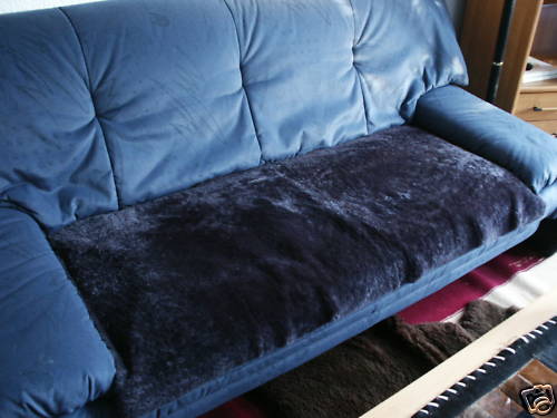 Pelle pecora coperta - -,