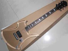 Chitarra elettrica acrilica