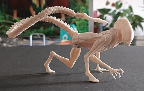 Alien cane runner - alien,