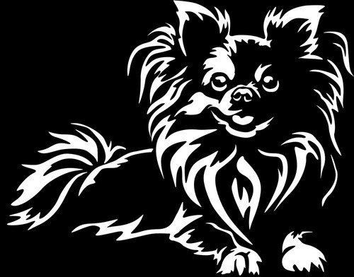 Adesivo chihuahua - -,