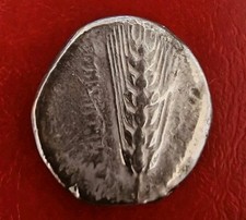 Lucania Metapontum AR Stater BB Magna Grecia Argento 330-280 A.C. Autentica