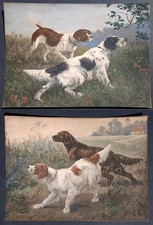 coppia stampe antiche