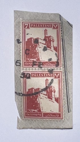 Palestina scott molto - palestina,
