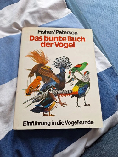 Libro colorato degli - libro,