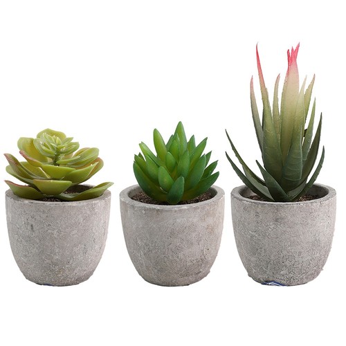 Piante grasse artificiali - , da