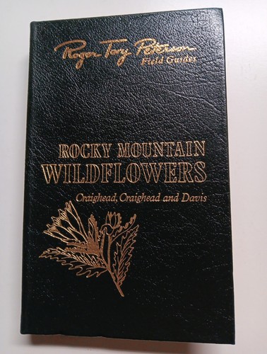 Rocky mountain wildflowers - mountain,