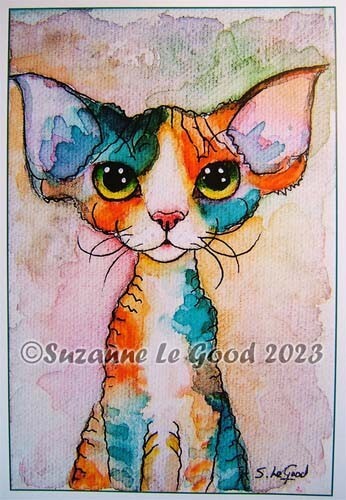 Devon rex cat - devon,