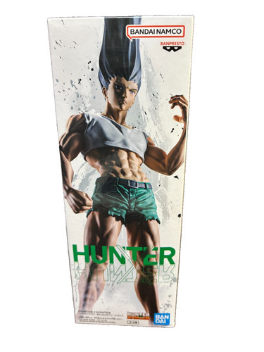 Hunter figlife gon - x,