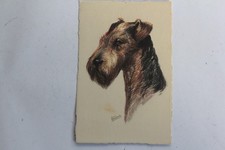 Illustrated postcard of Gauli