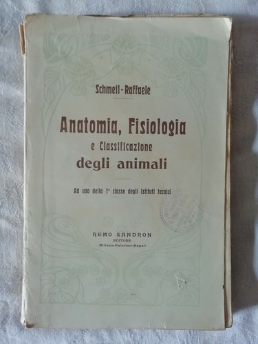 Anatomia fisiologia