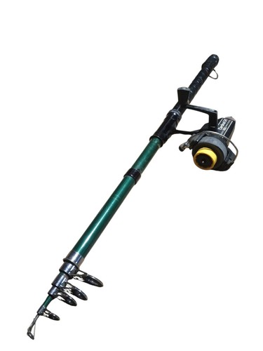 Canna pesce bear 6 - bear, pz.6
