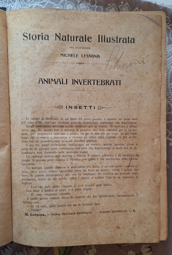 Storia naturale illustrata - storia,