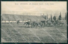 Grosseto Città Allevamento