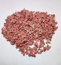 Corallo rosso naturale piccola