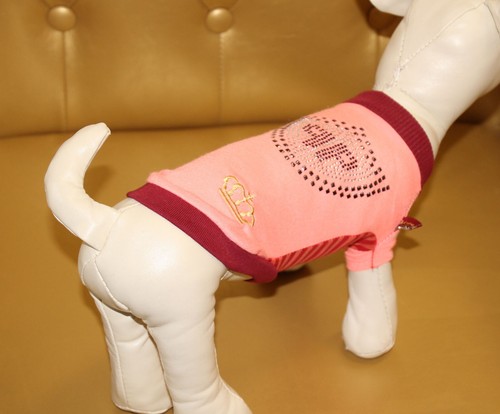 4569_Angeldog_Abbigliamento