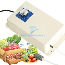 2000mg/h Ozone Generator
