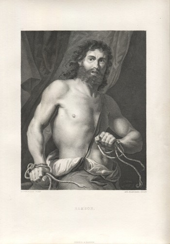 Sansone del domenichino - ,