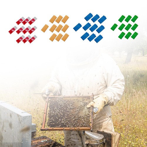 10x gabbie per api scatole - per,
