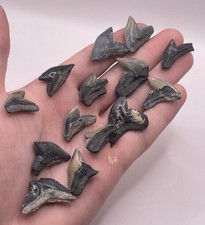 Grande lotto collezione