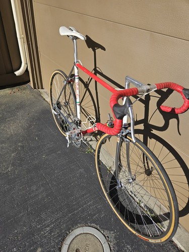 Bottechia professional bike - bottechia,