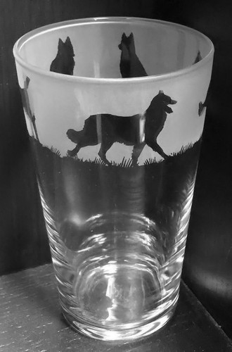 Belgian shepherd turvuren - belgian,