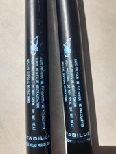 N° 2 PISTONCINI TENUTA