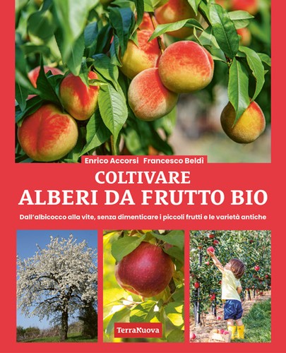 Coltivare alberi frutto - da,