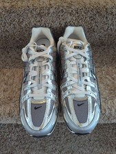 Nike P-6000 argento