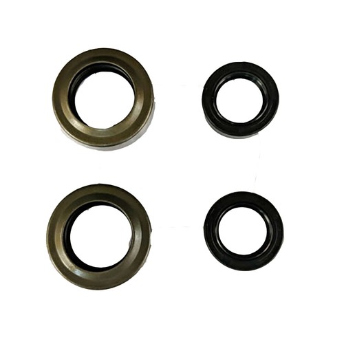 Set guarnizioni denti - guarnizioni,
