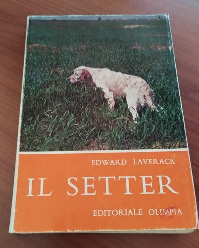 Setter edward laverack - edward,