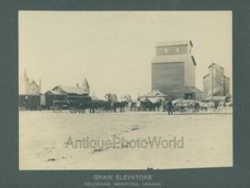 Grana Elevatori Cavallo