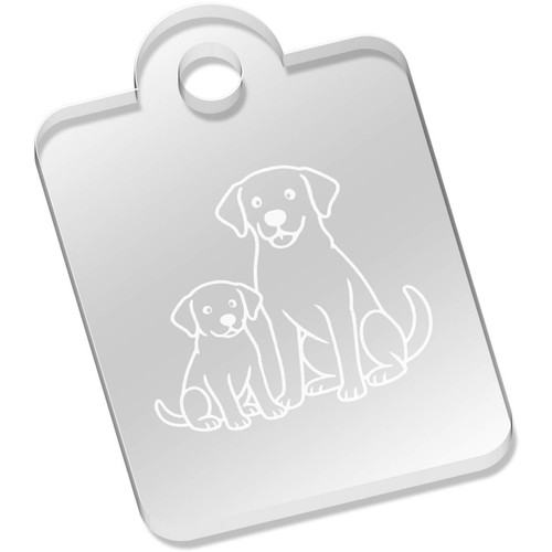 Labrador adult and puppy - adult,