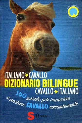 Libro dizionario bilingue - libro,