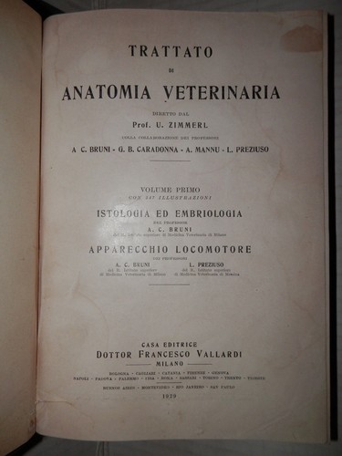 Trattato anatomia - trattato, di