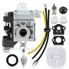 Carburatore per soffiatore