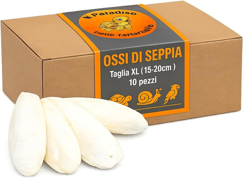 Ossa seppia - ossa, xl