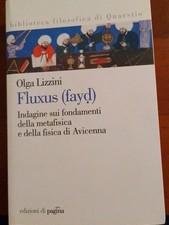 Olga Lizzini, Fluxus (fayd)