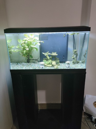Acquario completo usato - acquario,