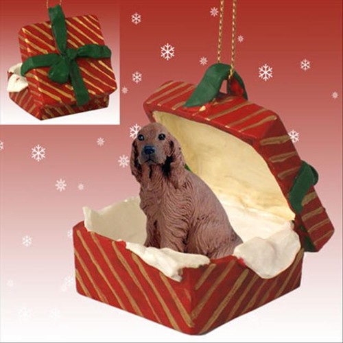 Setter irlandese cane rosso - cane,
