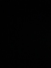 MUTA SHORTIE OLAIAN by