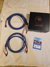 CARDAS  Clear  Cygnus  Speaker   2,5 m