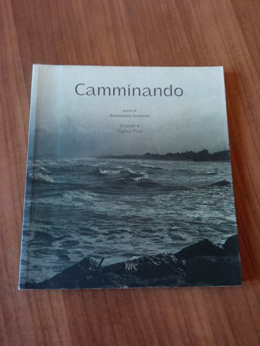 Camminando poesie di - camminando,