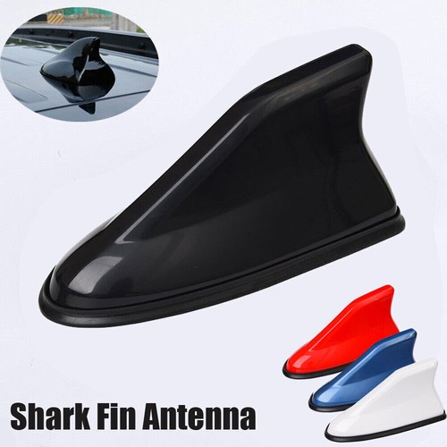 Pinna squalo universale - 1x,