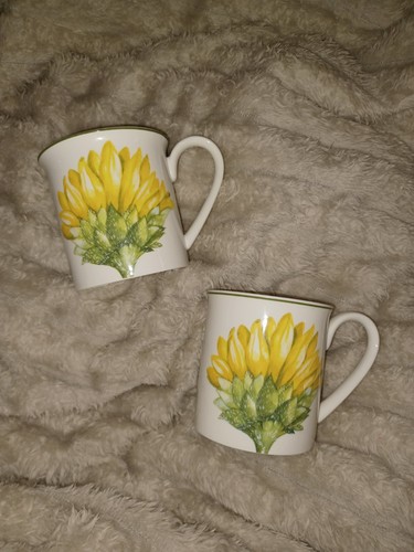 Villeroy boch set due - villeroy,