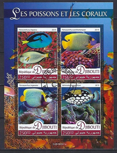 Animali pesci coralli - animali,